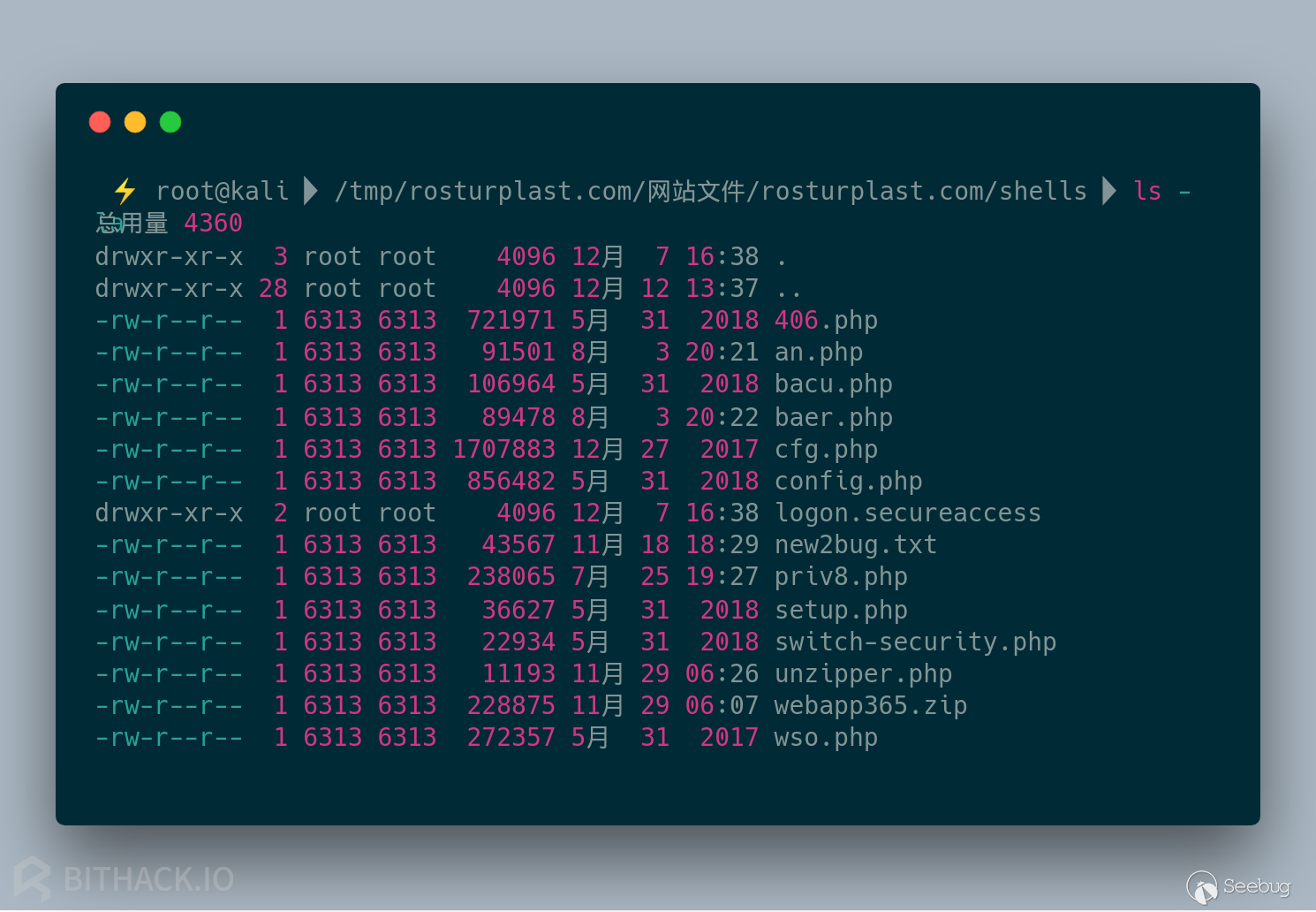 rosturplast.com-shells-ls.png-306.7kB