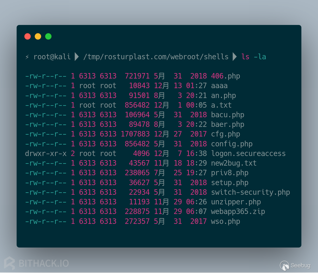 rosturplast.com-shells-1.png-169.4kB
