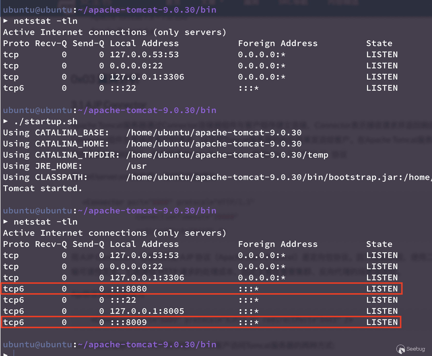 netstat -tln show new 3 open ports: 8050 8080
8009