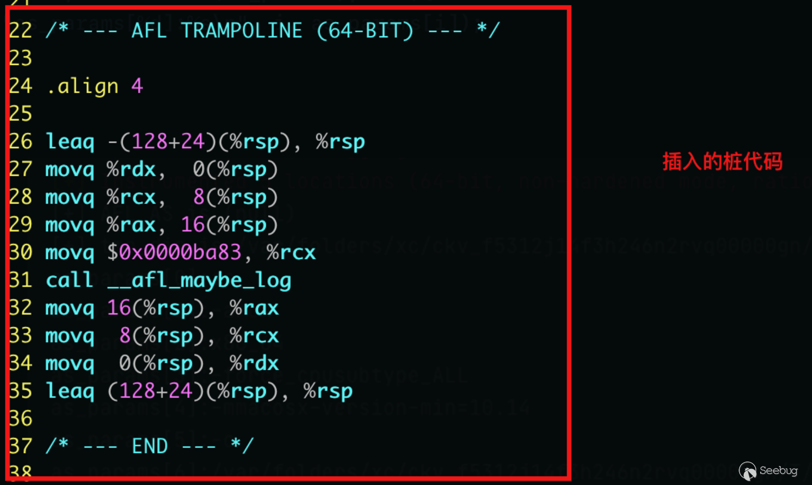 image-20210902113944635