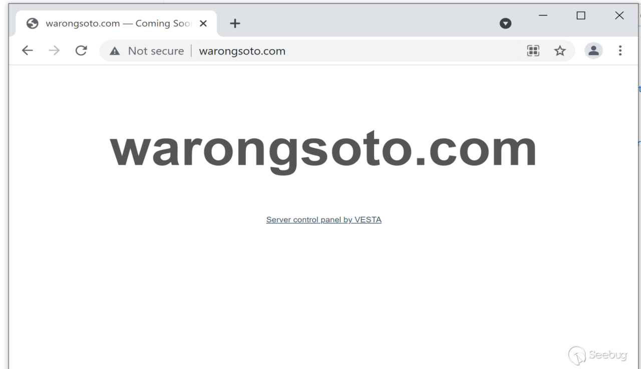 Figure 2b. Parked page