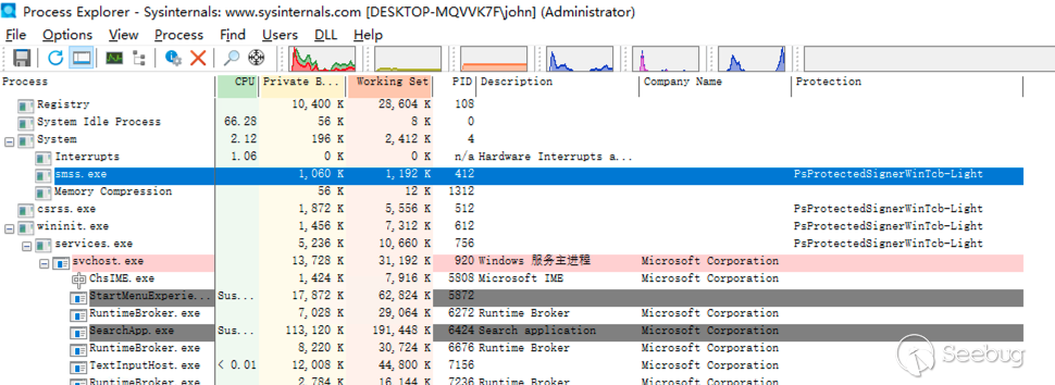 1.ProcessExplorer查看PPL