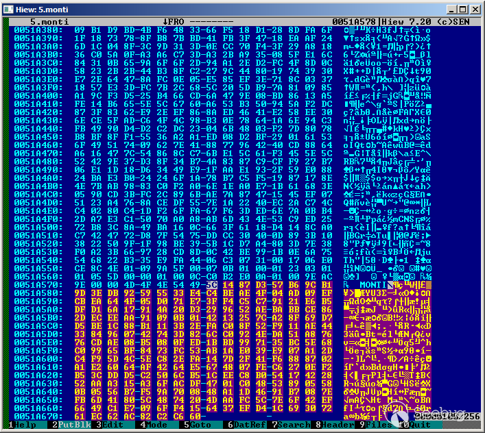 Figure 6. Comparison of two files encrypted by Monti ransomware