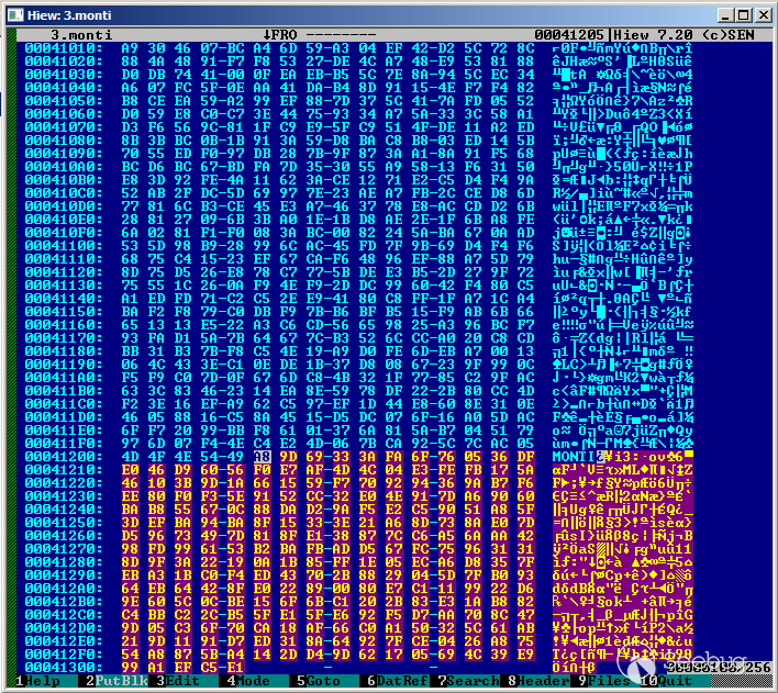 Figure 6. Comparison of two files encrypted by Monti ransomware