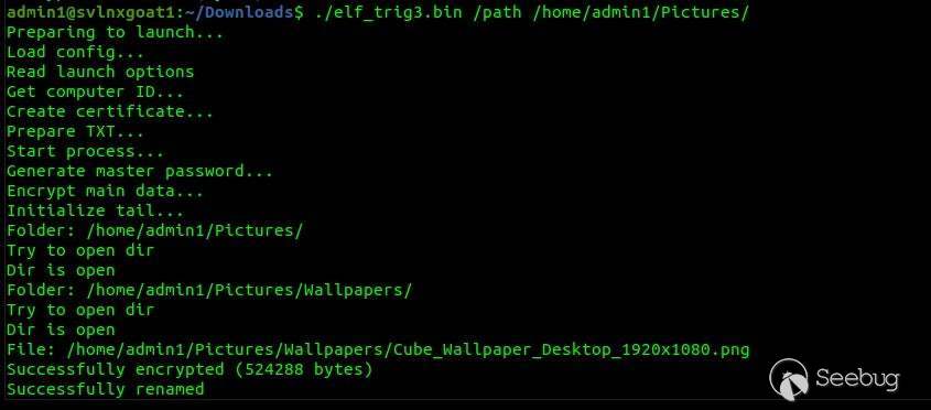 Trigona launched with basic /path parameter