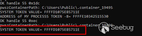 cve-2022-37969_image_61_system_token_value