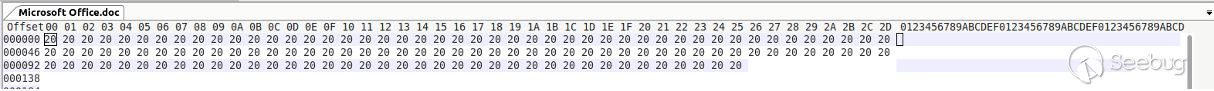 Figure 5: The hex representation of the scant content of “Microsoft Office.doc.”