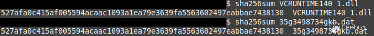 Figure 16: “VCRUNTIME140_1.dll” and “35g3498734gkb.dat” are identical files.