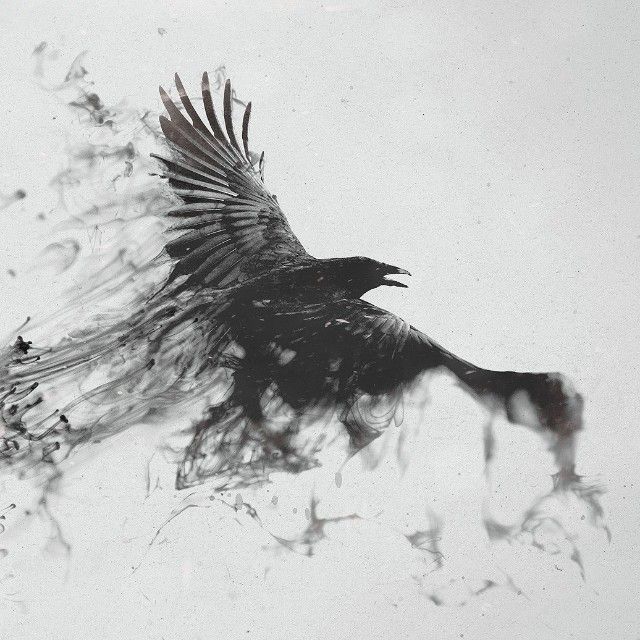 昊天實驗室 Picture